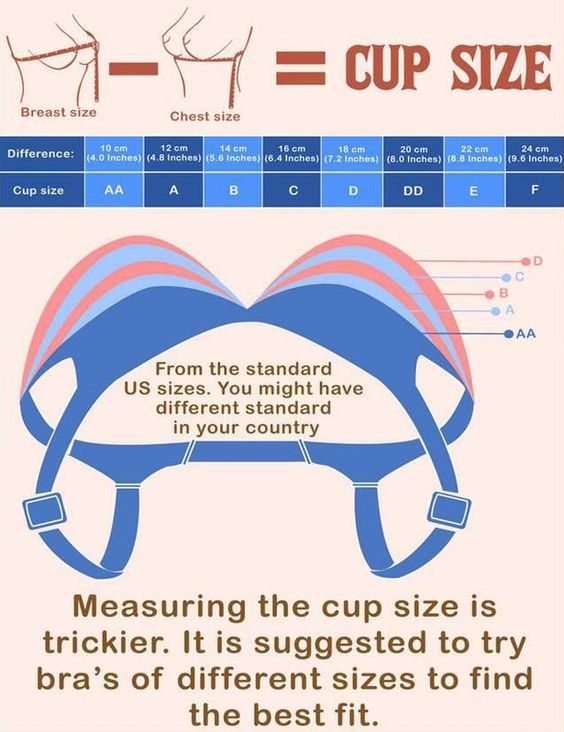 bra-size.jpg